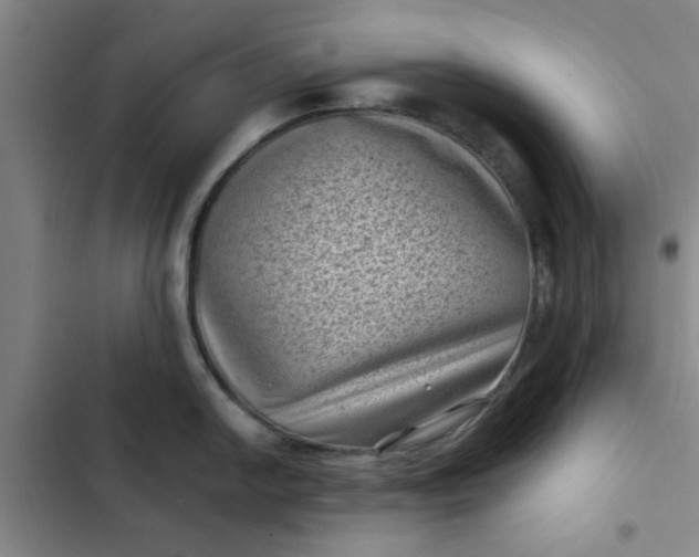 X0000102481054200808221703