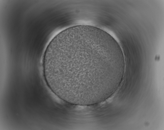 X0000102481056200808221703