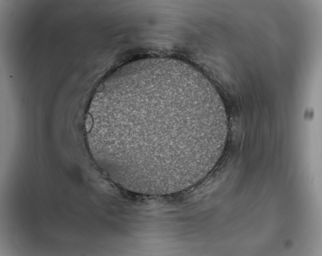 X0000102481057200808221702