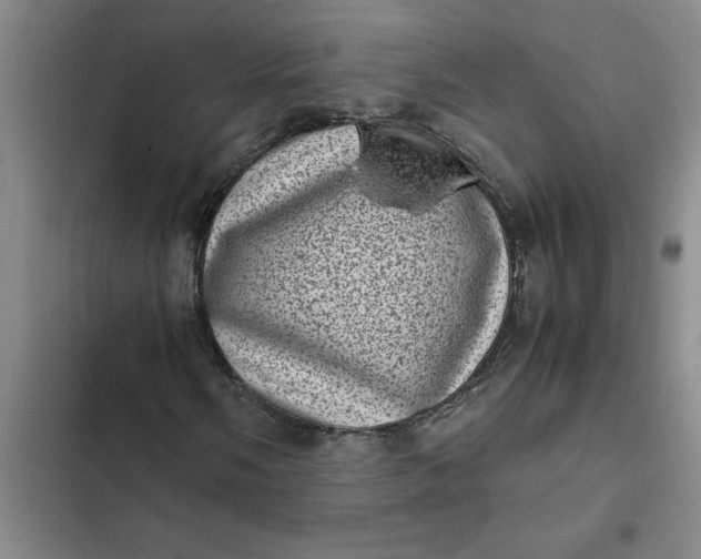 X0000102481058200808221702