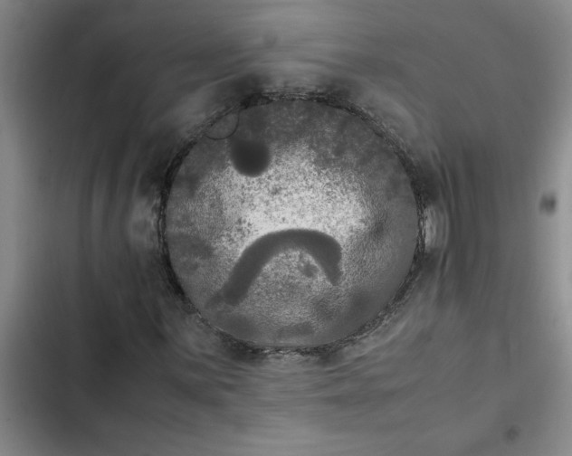 X0000102481059200808221702