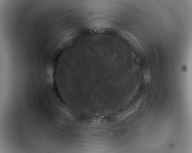 X0000102481060200808221702