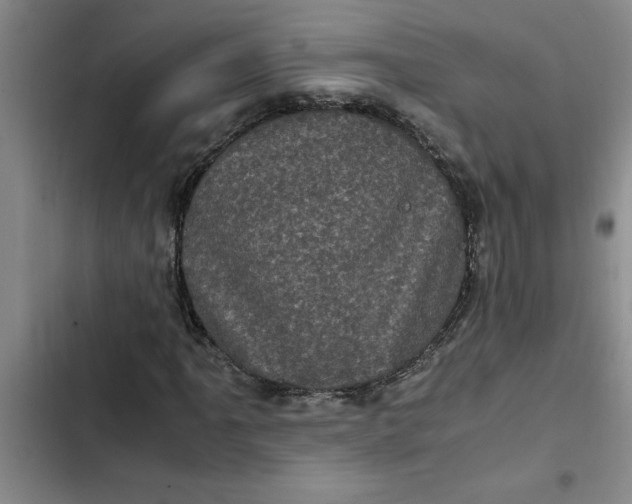 X0000102481061200808221702