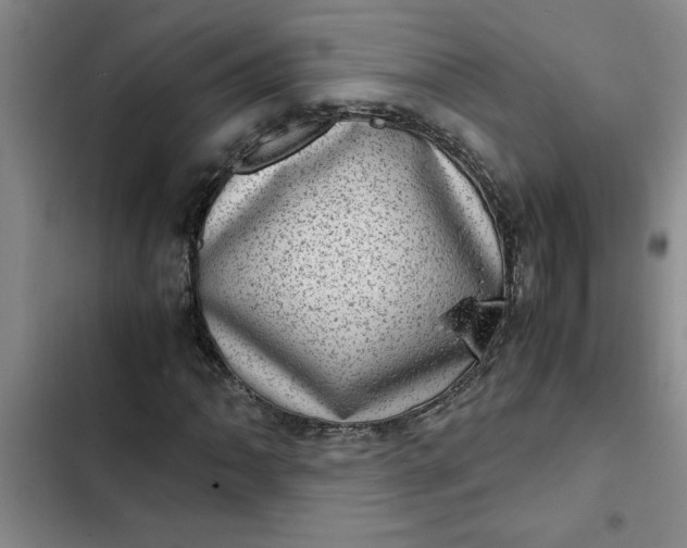 X0000102481062200808221702