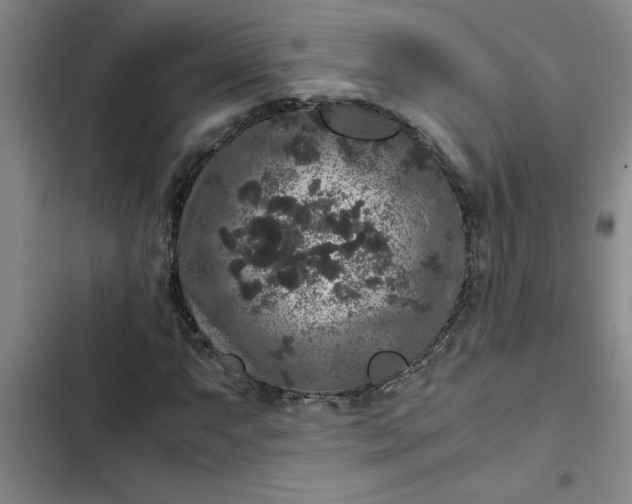 X0000102481063200808221702