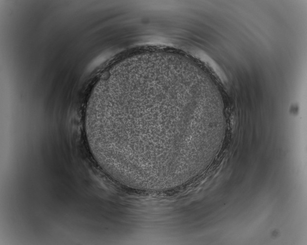 X0000102481064200808221702