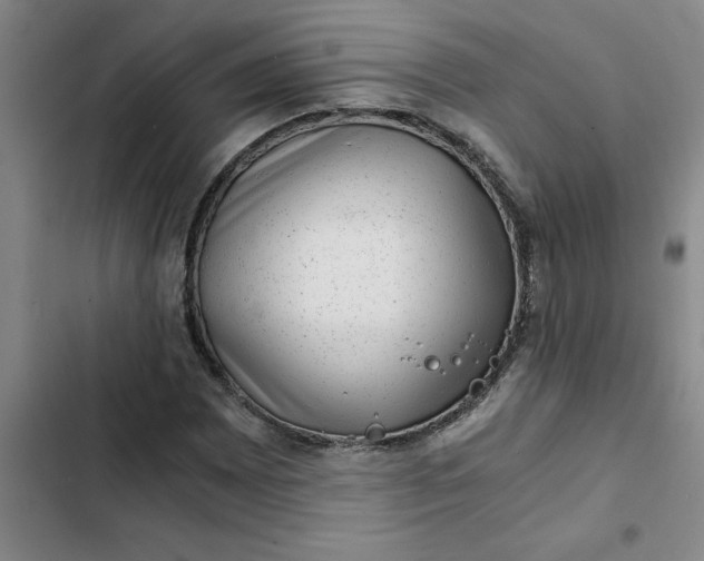 X0000102481065200808221702