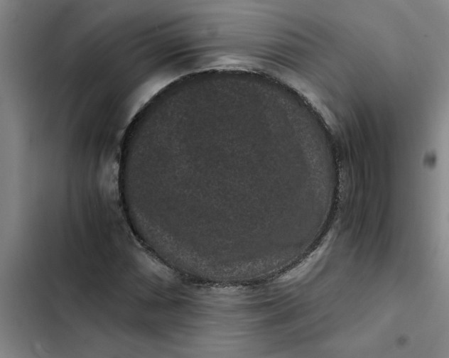 X0000102481066200808221702