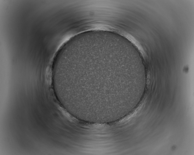 X0000102481067200808221701