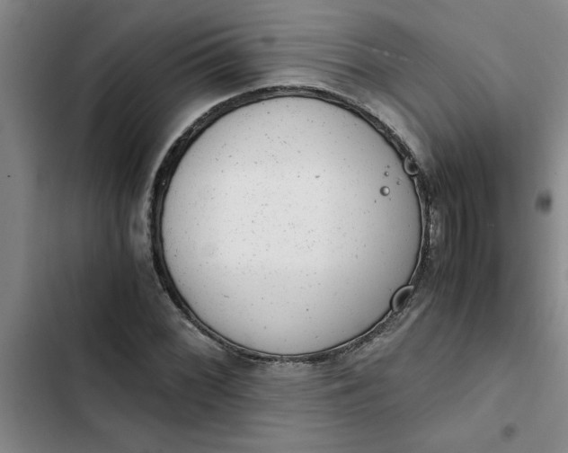 X0000102481068200808221701