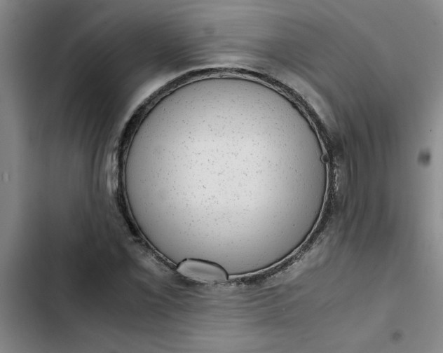 X0000102481069200808221701