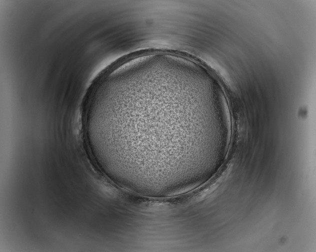 X0000102481070200808221701