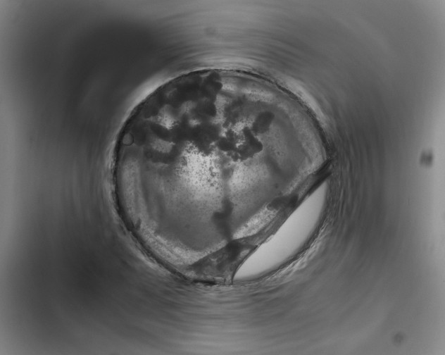 X0000102481071200808221701