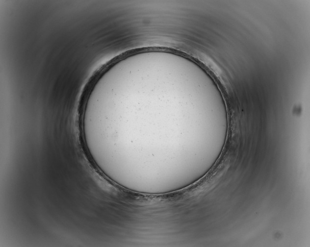 X0000102481072200808221701