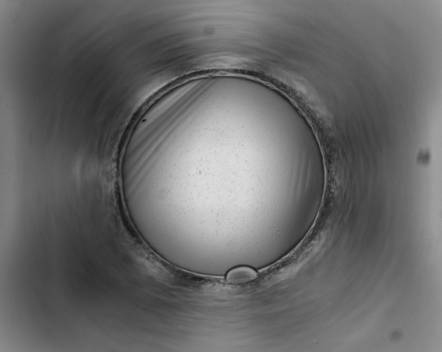 X0000102481073200808221701