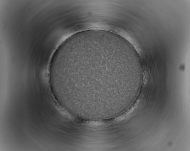 X0000102481074200808221701