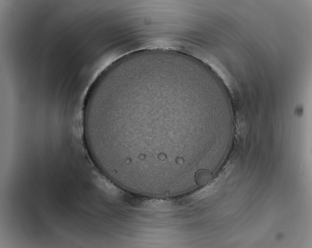 X0000102481075200808221701