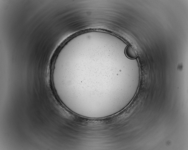 X0000102481076200808221701