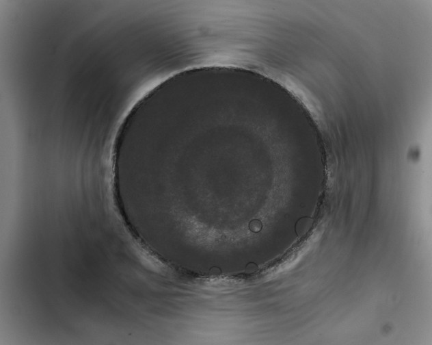 X0000102481077200808221701