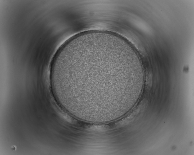 X0000102481078200808221701