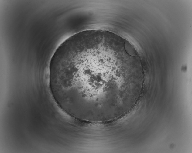 X0000102481079200808221701