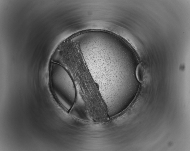 X0000102481080200808221701