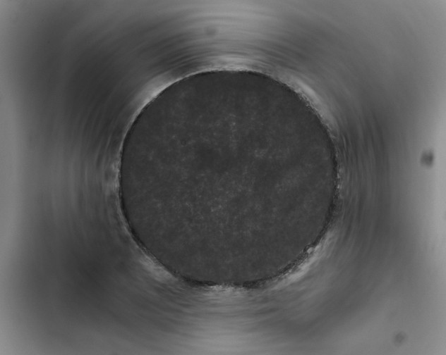 X0000102481081200808221701