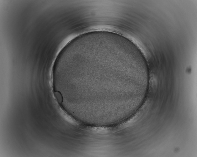 X0000102481082200808221701