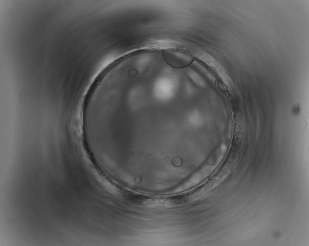 X0000102481083200808221701