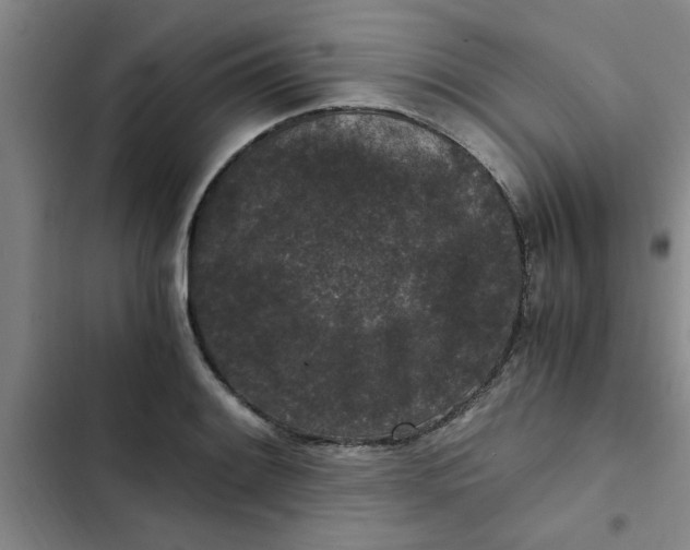 X0000102481084200808221701