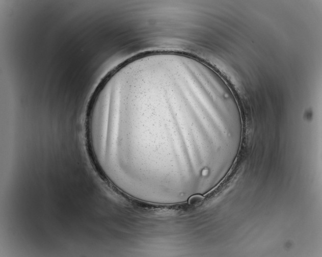 X0000102481085200808221701