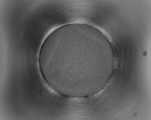 X0000102481086200808221701