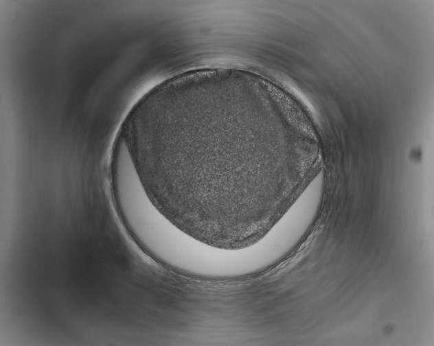 X0000102481087200808221701