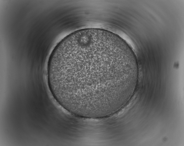 X0000102481088200808221701