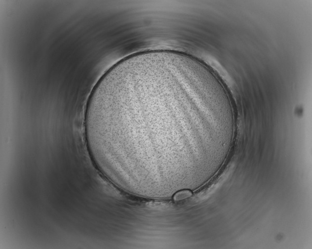 X0000102481089200808221701