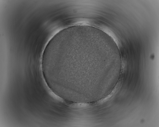 X0000102481090200808221701