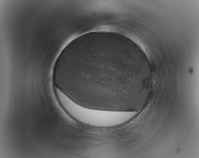 X0000102481091200808221701