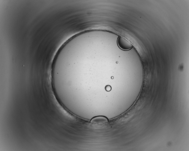 X0000102481092200808221701