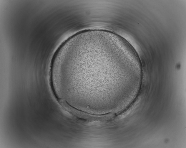 X0000102481093200808221701