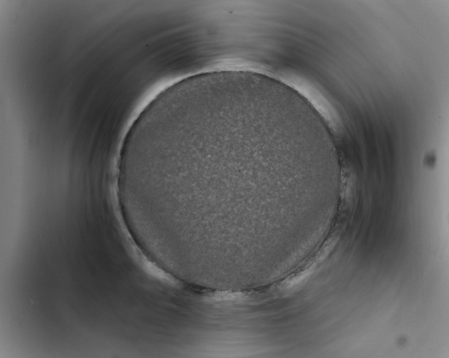 X0000102481094200808221701