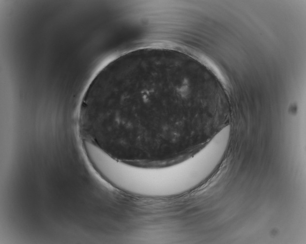 X0000102481095200808221701