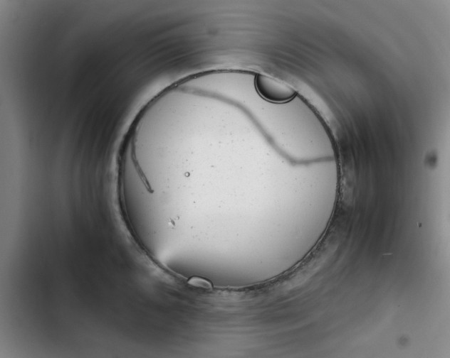 X0000102481096200808221701