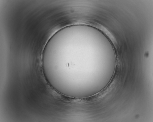 X0000102481097200808221701