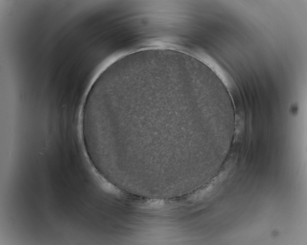 X0000102481098200808221701