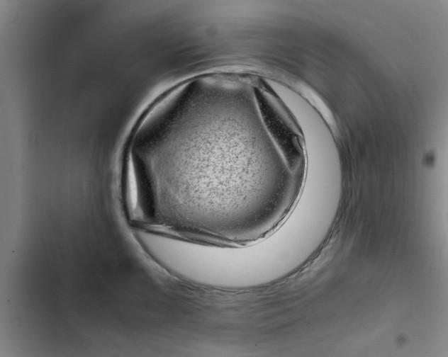 X0000102481099200808221701