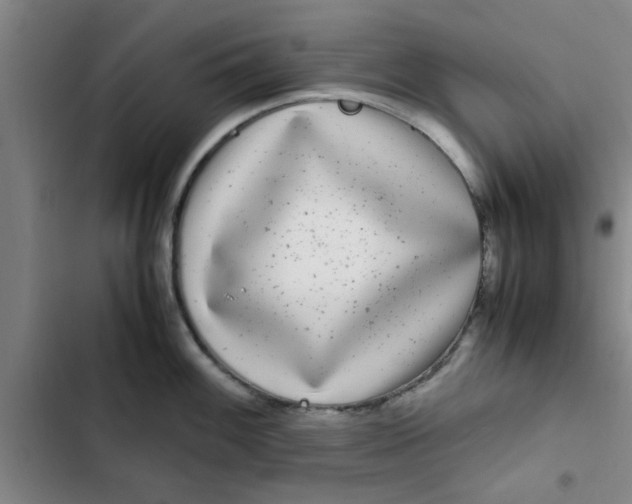 X0000102481100200808221701