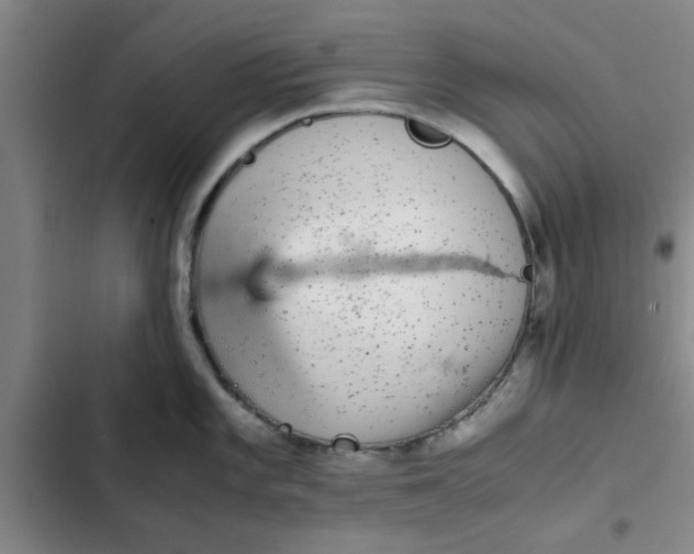 X0000102481101200808221701