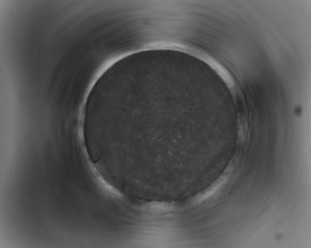 X0000102481102200808221701