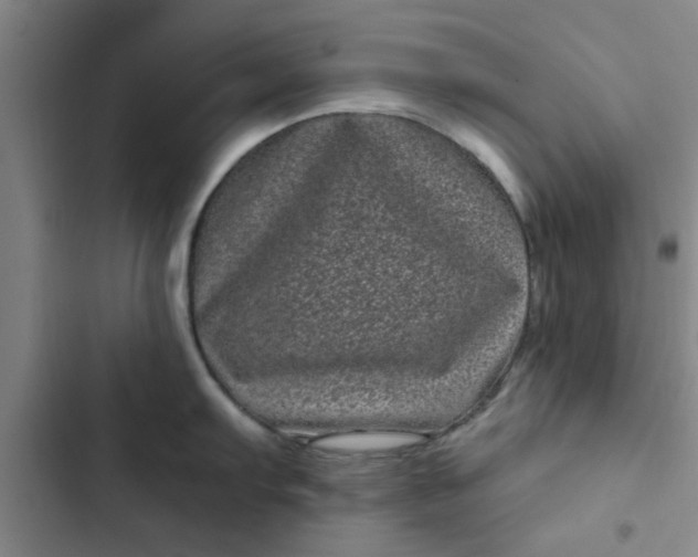 X0000102481103200808221701