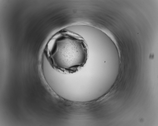 X0000102481104200808221701